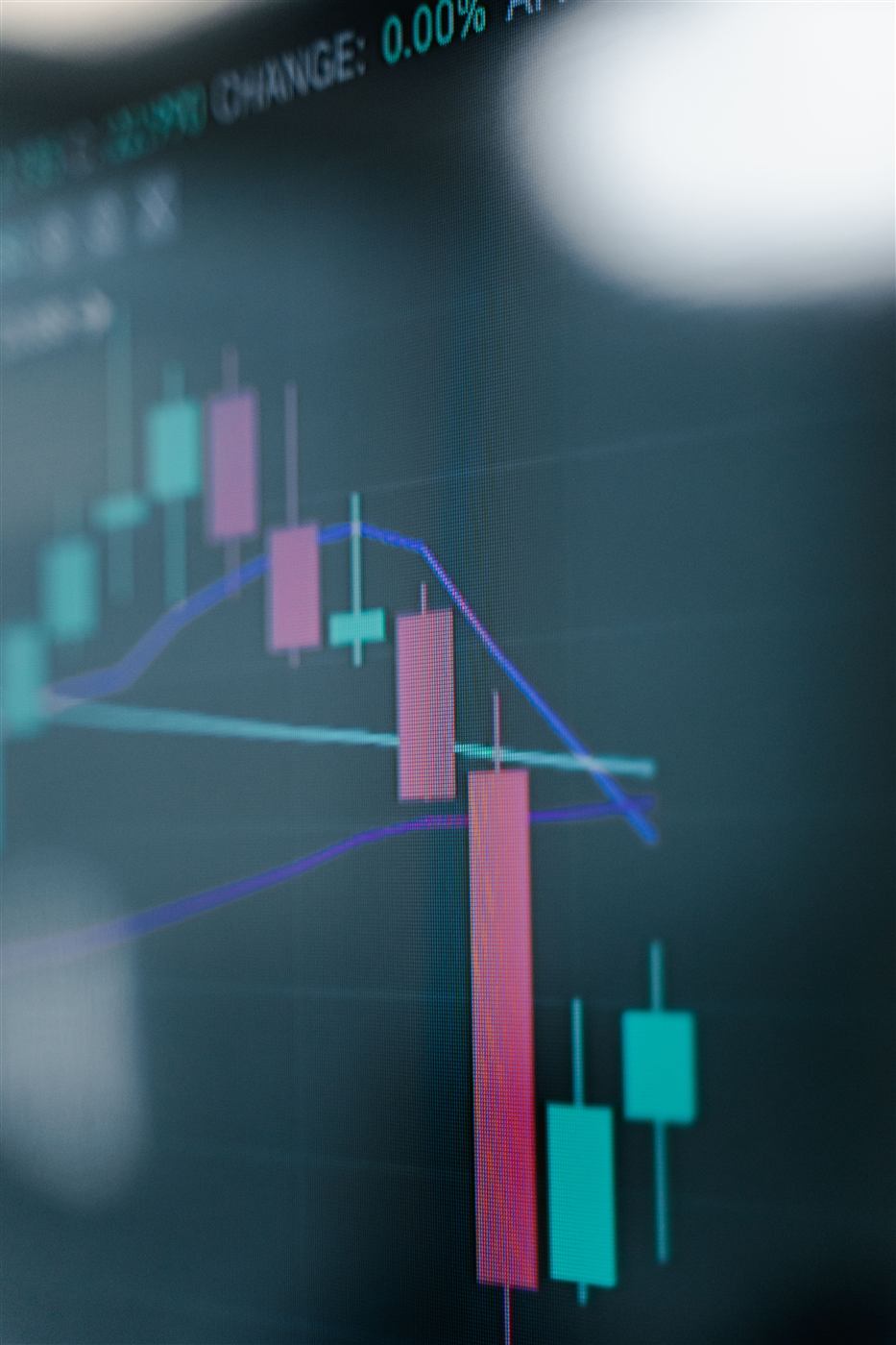 AI Stock Simulation